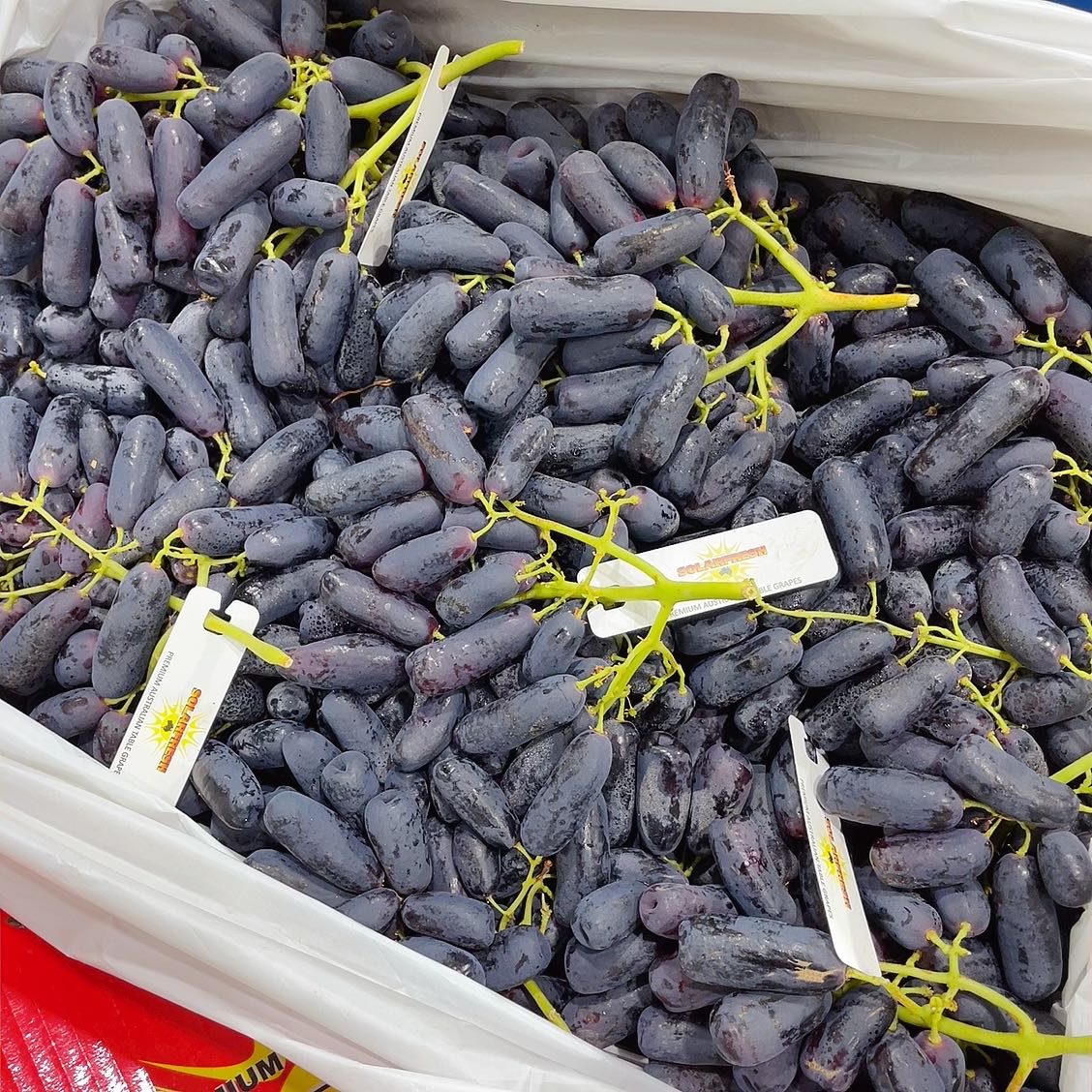 Solarfresh-Premium-Black-Finger-Grapes---1kg -1