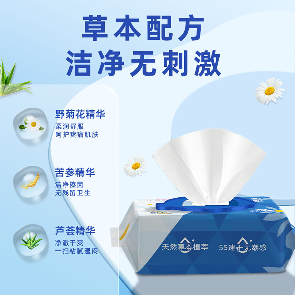 Xiaodingdong-Herbal-Flushable-Moist-Toilet-Wipes-–-80-Wipes-×-3-Packs-2