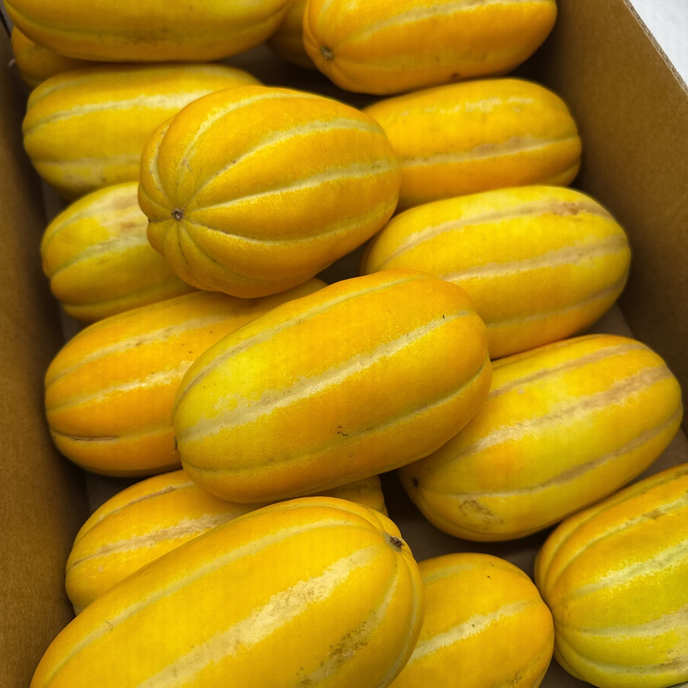 Fresh-Korean-Melon---1-Piece,-Australian-Grown-1