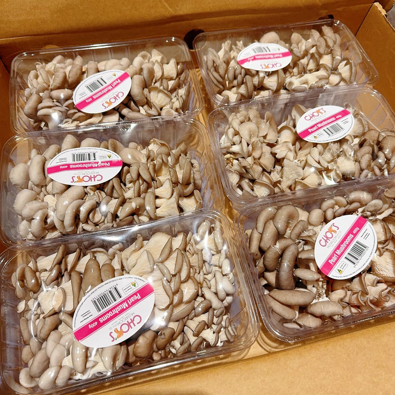 Chois-Pearl-Mushrooms---400g -1