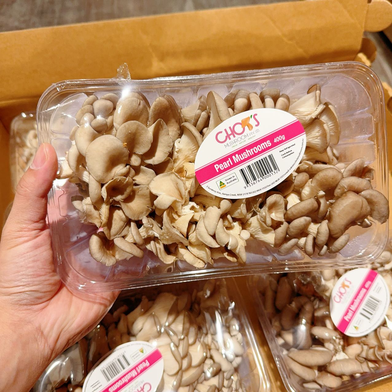 Chois-Pearl-Mushrooms---400g -1