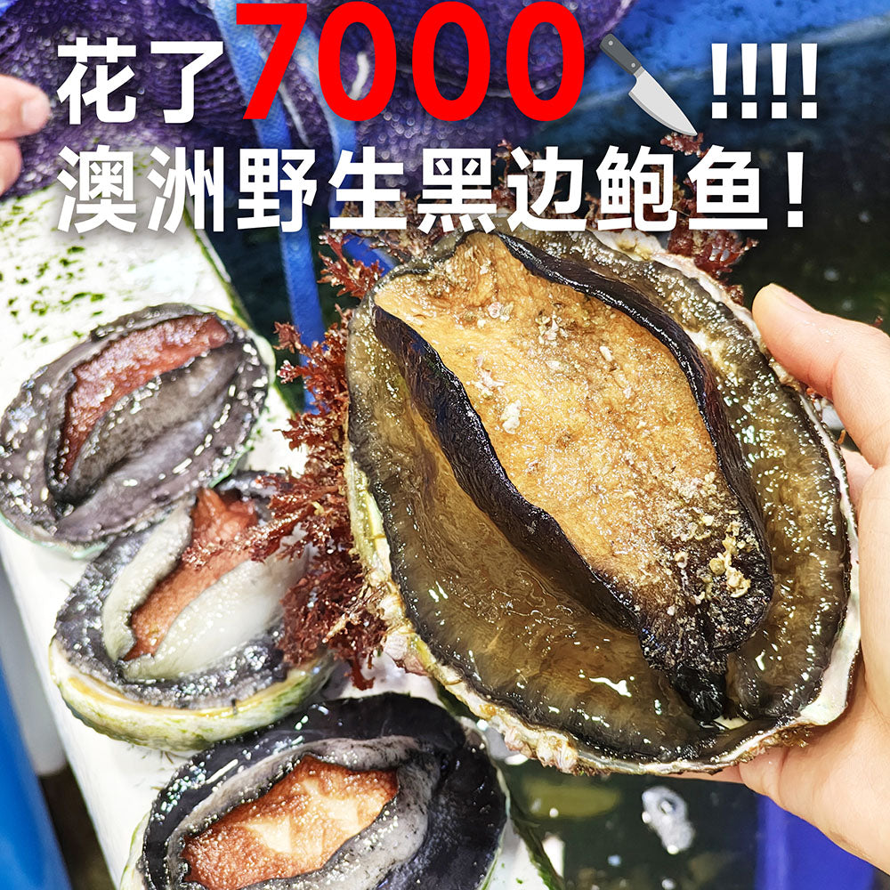 Longmen-Suju-Handmade-Deer-Dragon-Rice-Dumpling-Gift-Box---1-Pack-1