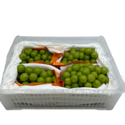 Berries & Cherries & Grapes at UMall Australia