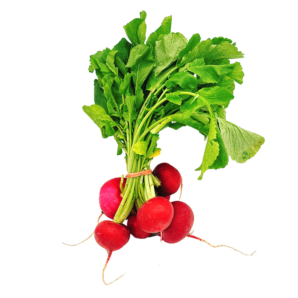 Fresh Radishes - 1 Bunch