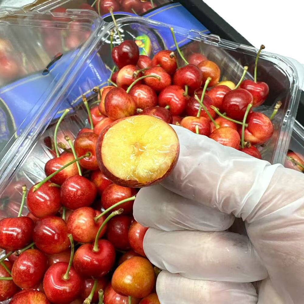 skylar-rae-white-cherries-26-28mm-box-of-approx-1kg-5