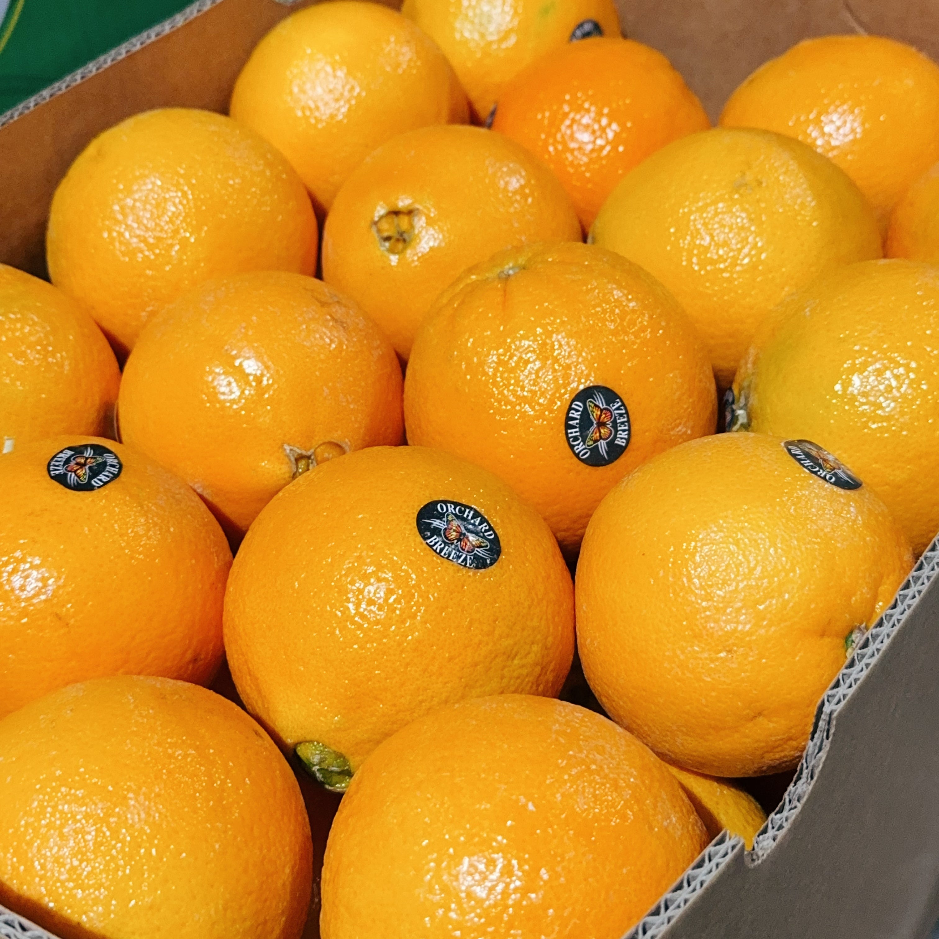 Orchard-Breeze-Local-Sweet-Oranges---3-Pieces -1