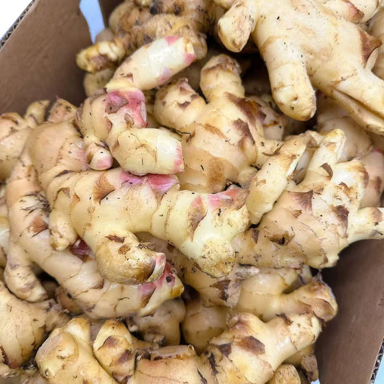 Fresh Young Ginger - 500g