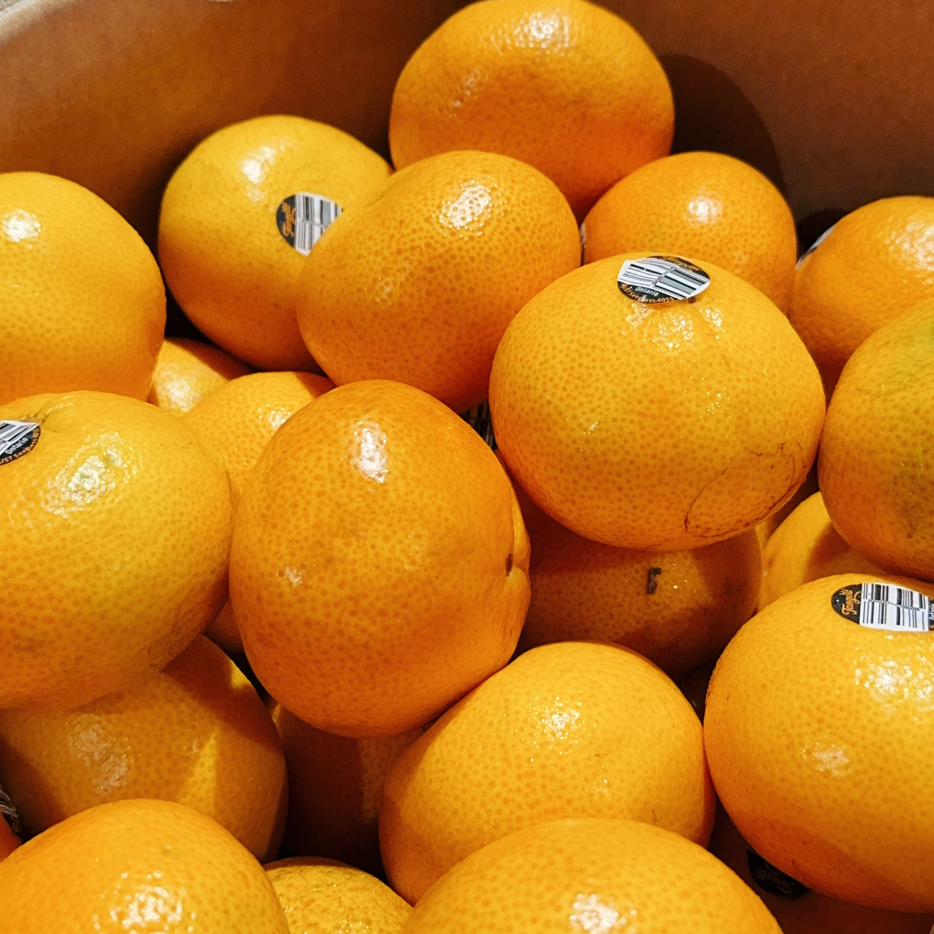 Tangold-Mandarins---1kg -1