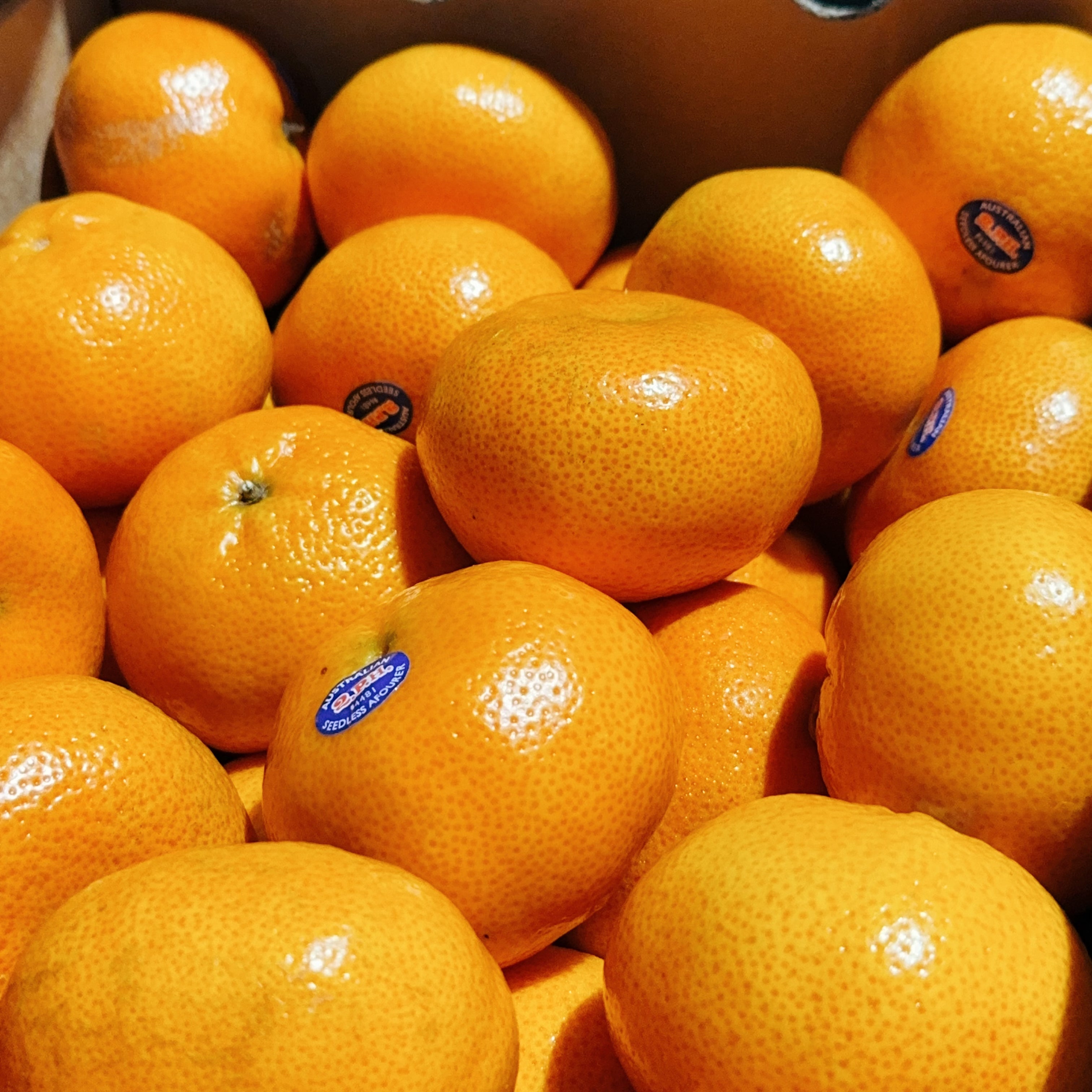 Tangold-Mandarins---1kg -1