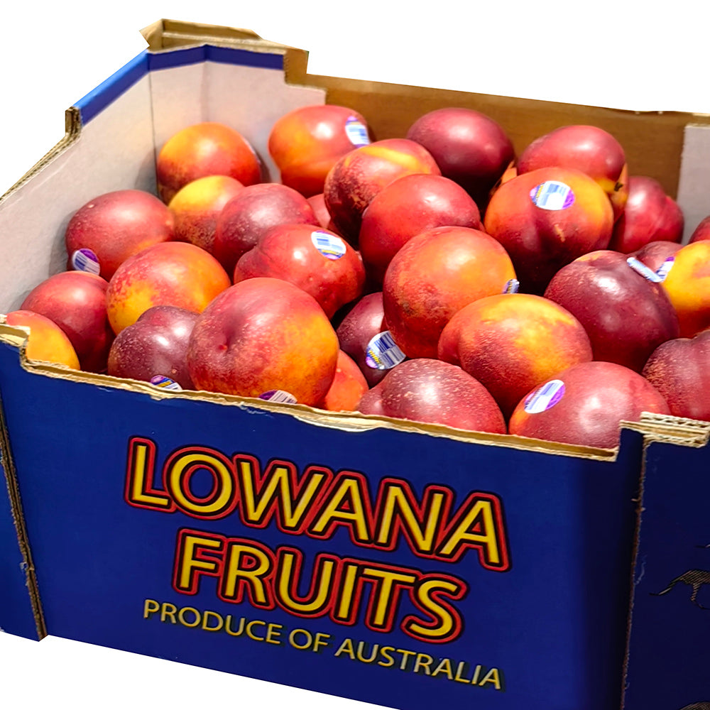 Lowana-Yellow-Nectarines---1kg-1