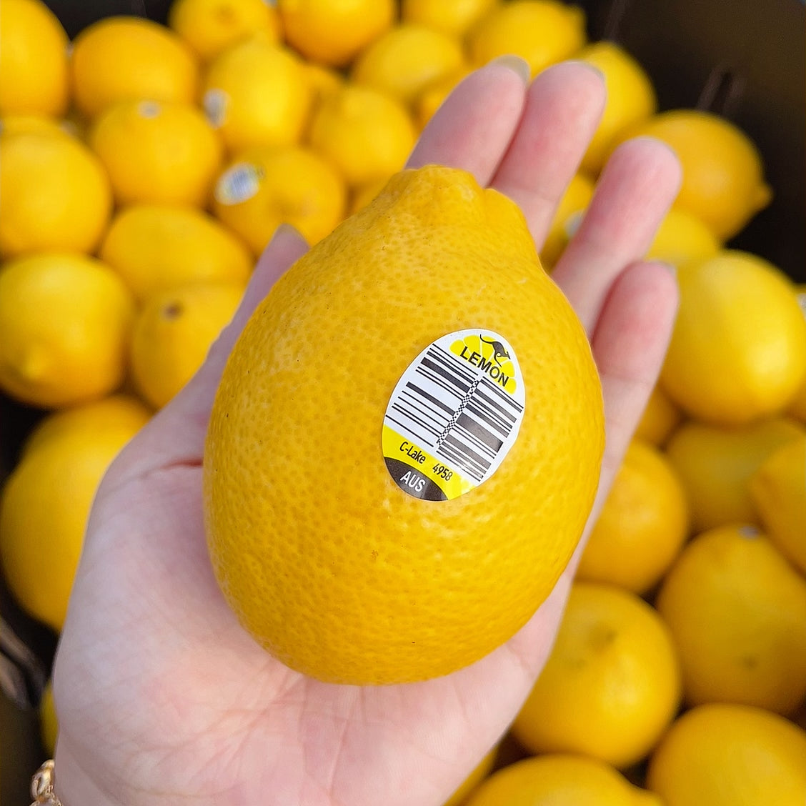 [Fresh]--Lemons,-Pack-of-4-1