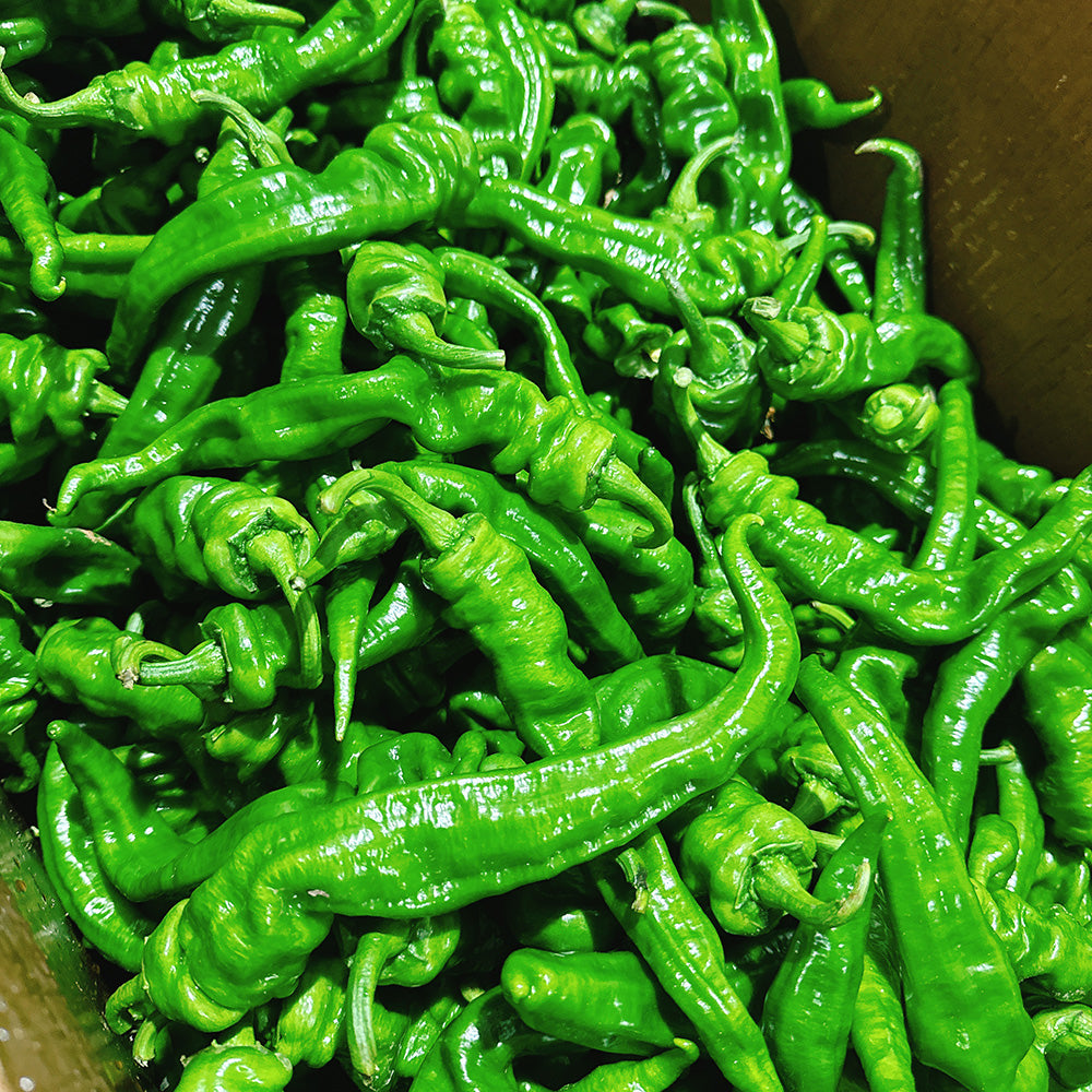 Xinjiang-Spiral-Peppers---500g-1