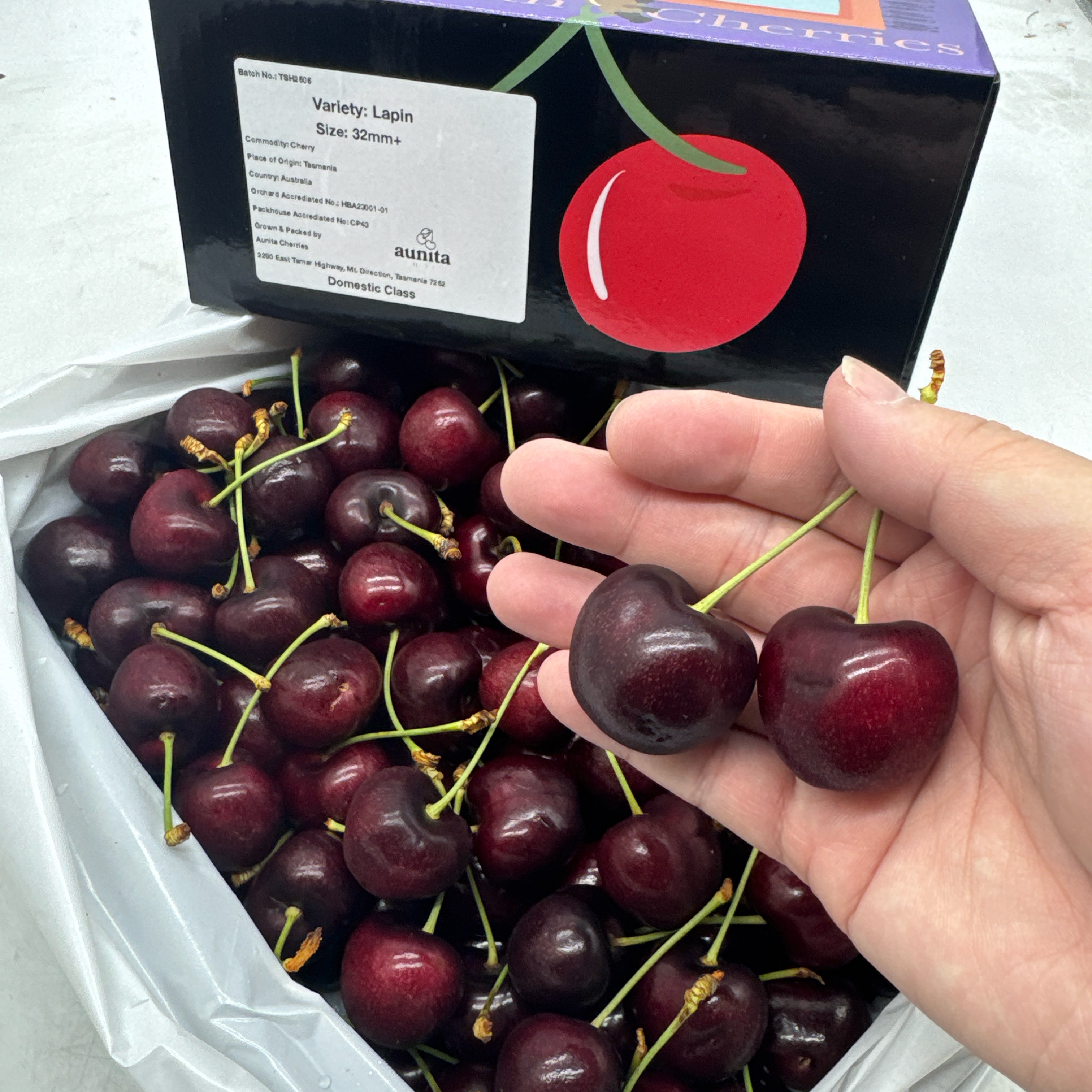 Tasmanian-Lapin-Cherries-Gift-Box-32-34mm---2kg-1