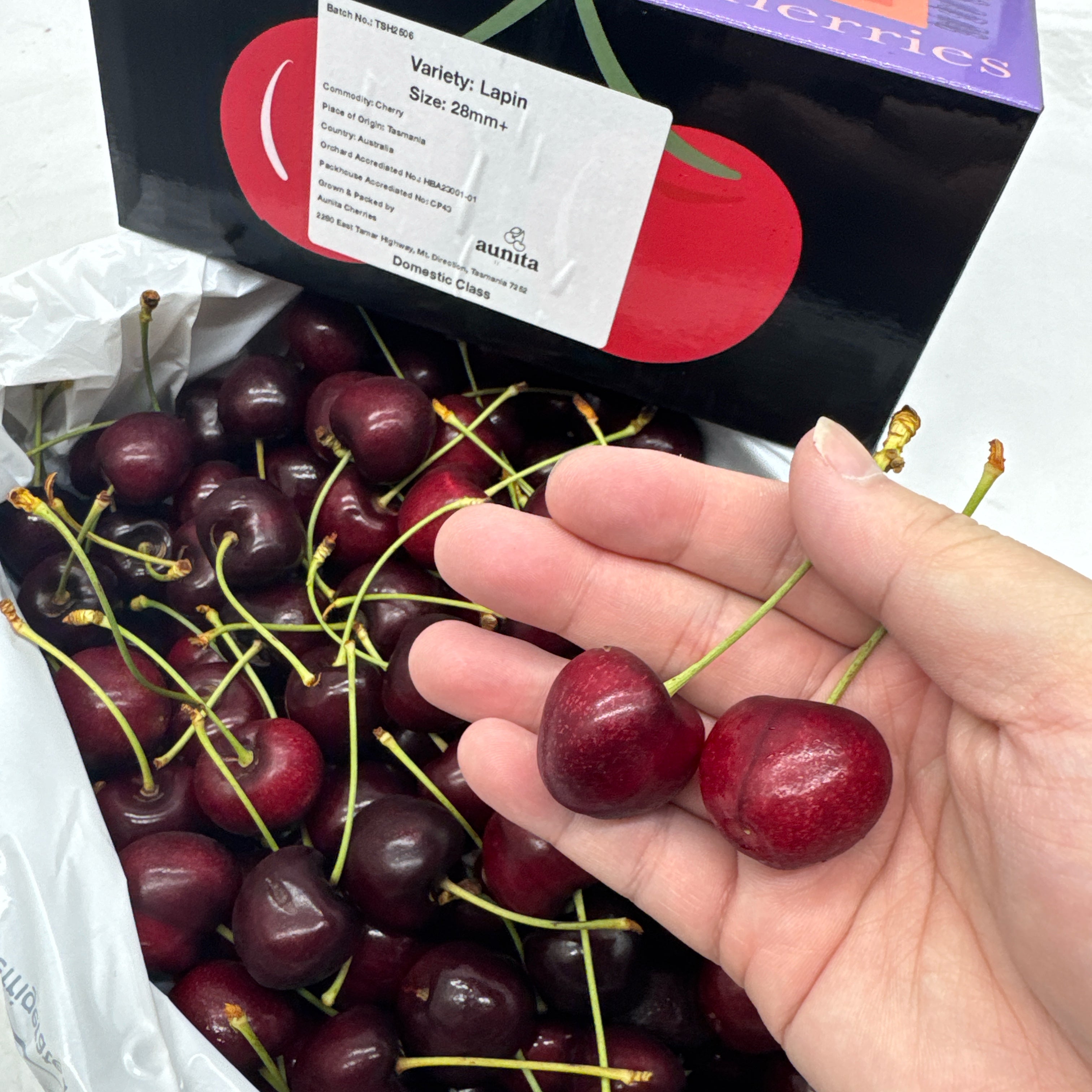 Tasmanian-Lapin-Cherries-Gift-Box-28-30mm---2kg-1