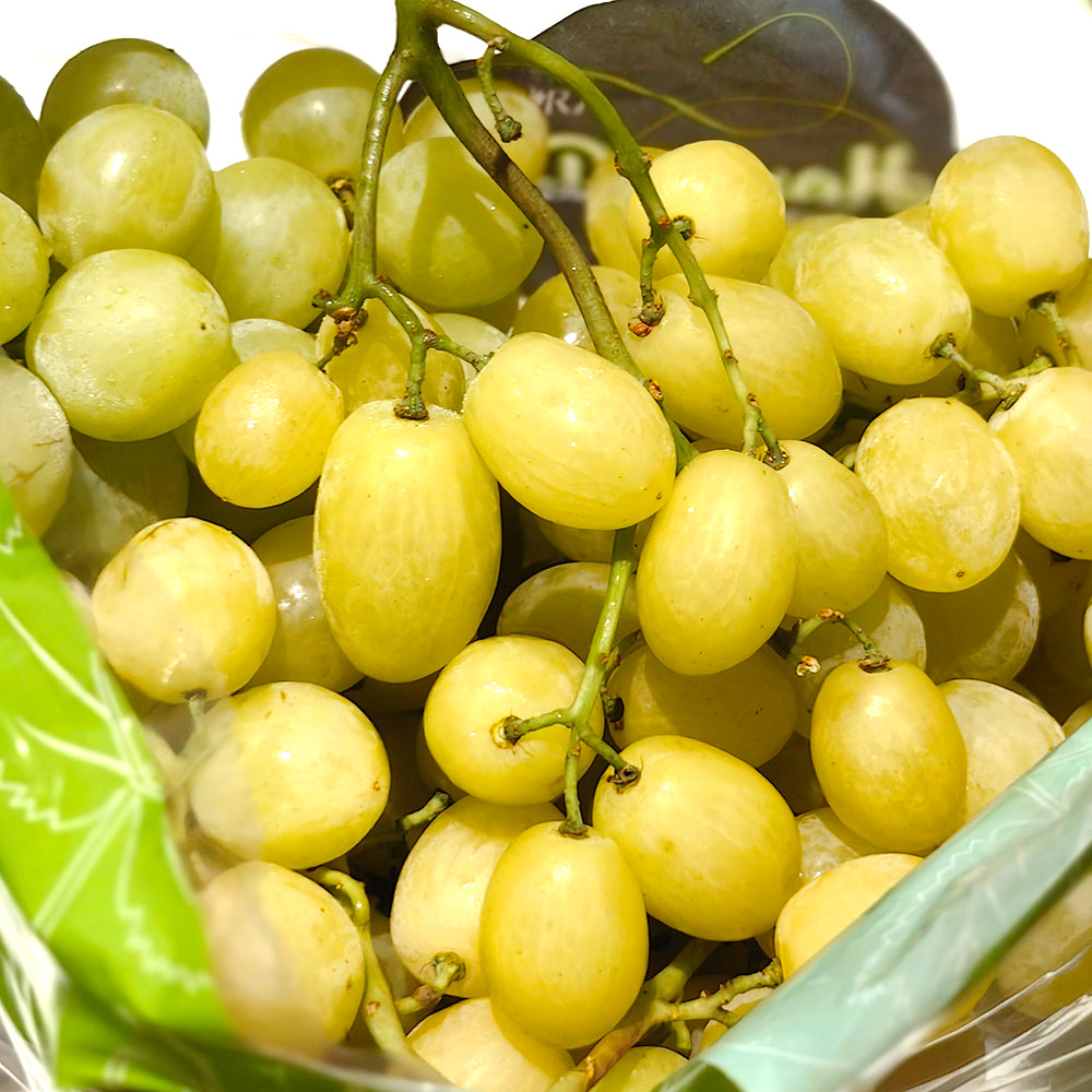 Honey-Pop-White-Seedless-Table-Grapes---1kg-1