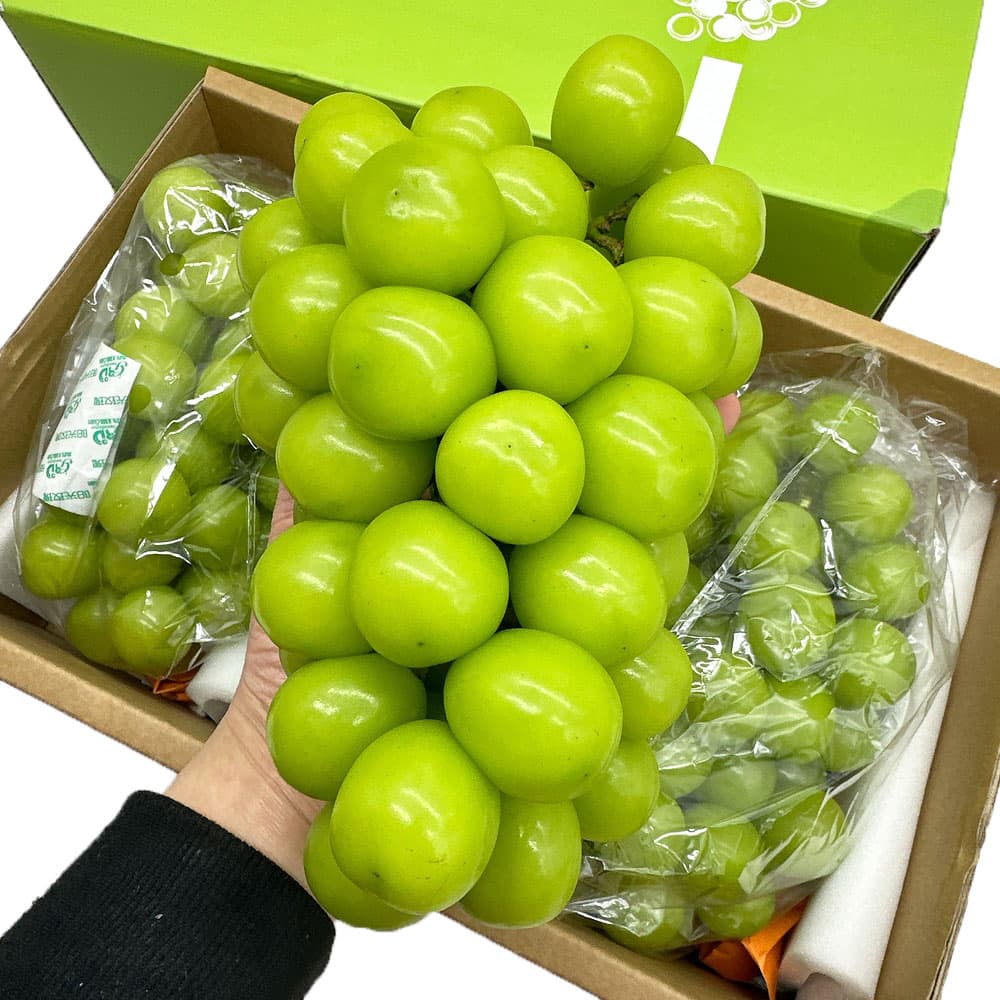 Air-Flown-Shine-Muscat-Grapes-(China)-–-1-Bunch,-800–900g-1