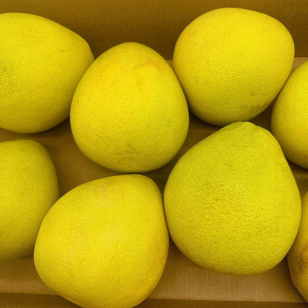 Ultra-Sweet-Seedless-Jinlan-Pomelo---1-Piece,-1-1.2kg-1