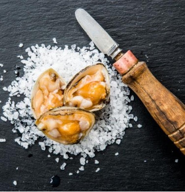 Cloudy-Bay-Diamond-Shell-Clams,-Frozen,-New-Zealand-–-1kg-2