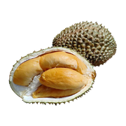 All Fruit at UMall Australia