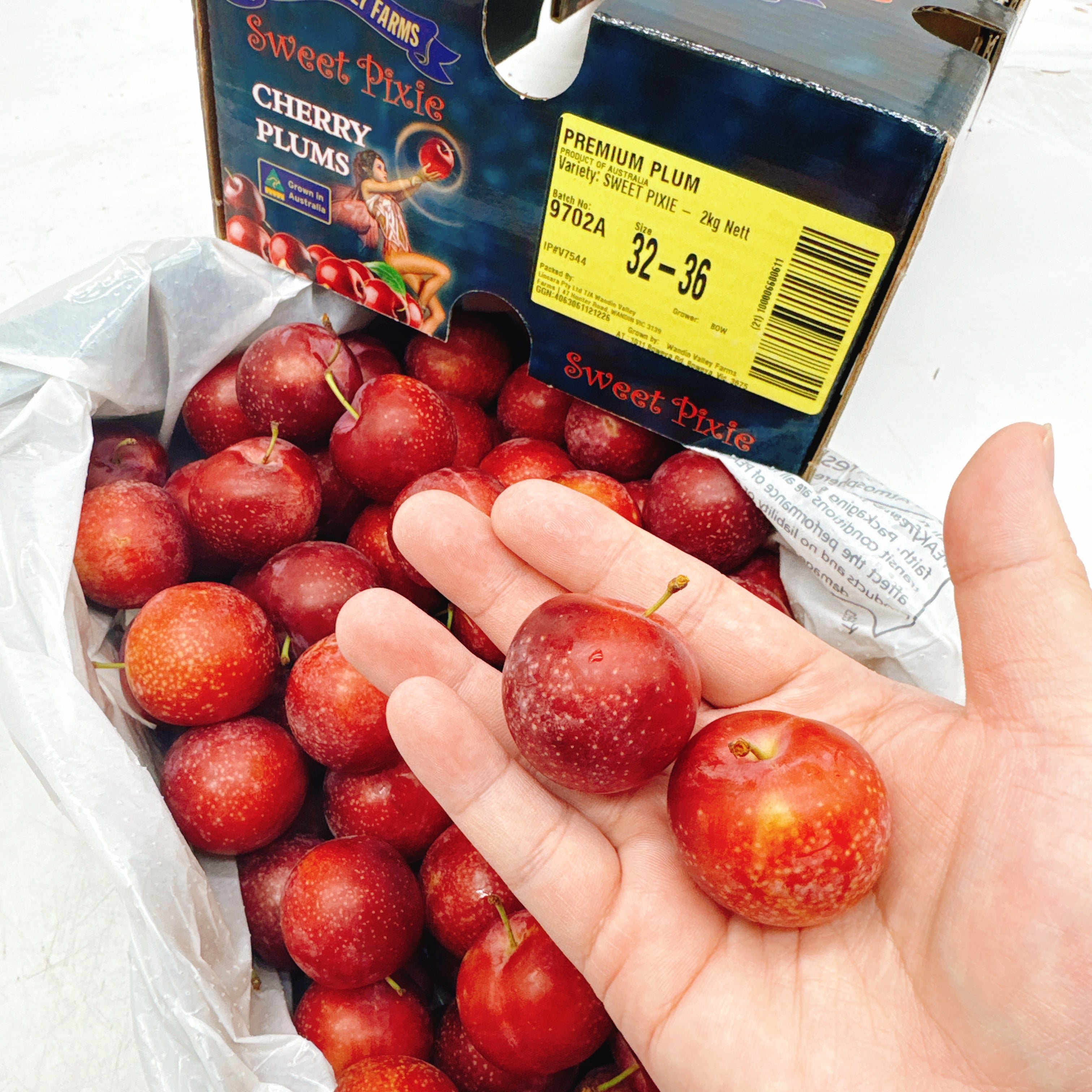 WVF-Sweet-Pixie-Cherry-Plums-Gift-Box---2kg-1