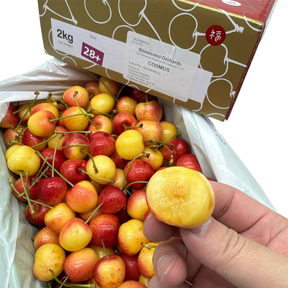 Tasmanian-White-Cherries-Gift-Box---28mm+,-2kg-1