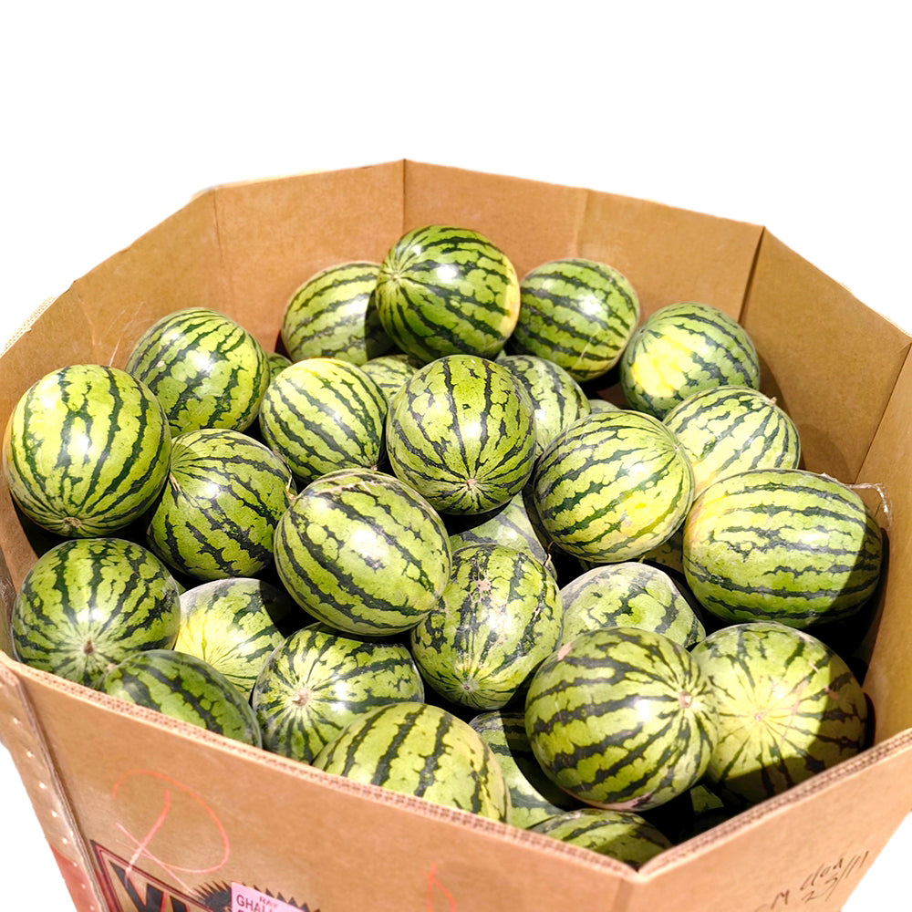 Crystal-Sugar-Watermelon---5-6kg-1