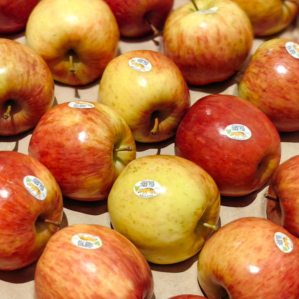 Tasmanian-Tiger-Fuji-Apples---1-1.1kg-1