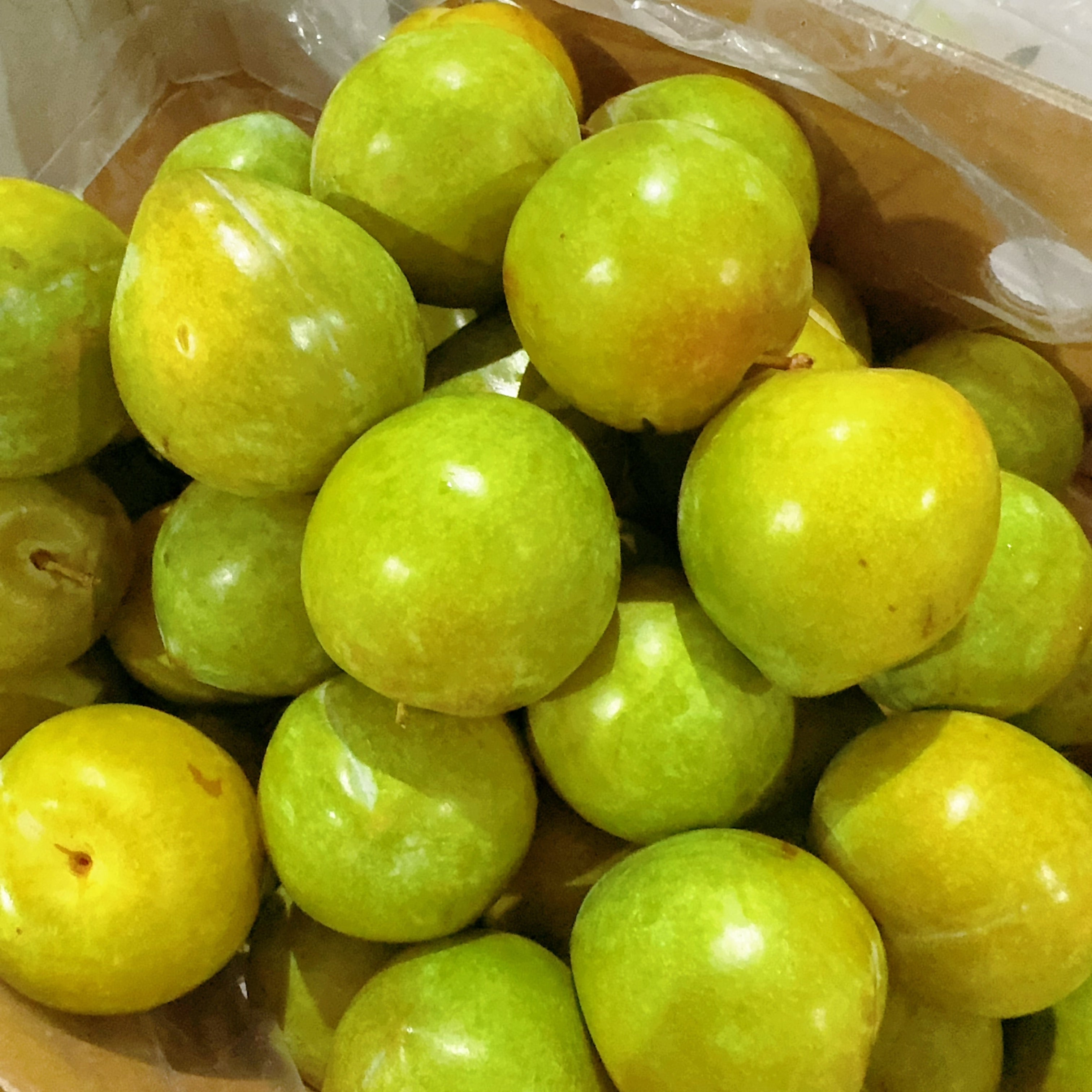 [Fresh]--Top-Grade-Galaxy-Super-Sweet-Green-Gem-Plums-(also-known-as-Honey-Sugar-Plums)---Approximately-1kg-1