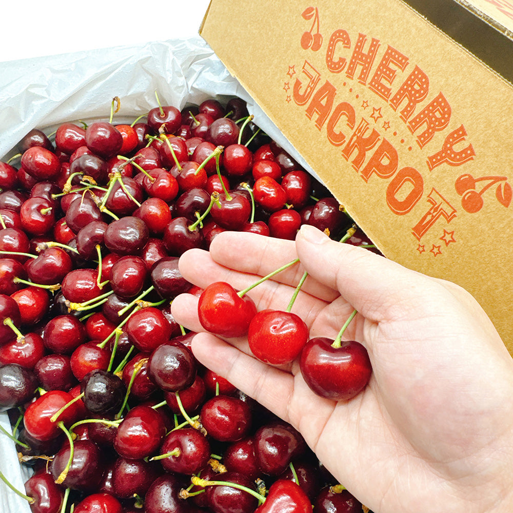 Sweet-Cheeks-Pure-Sweet-Cherries---Medium,-500g-1