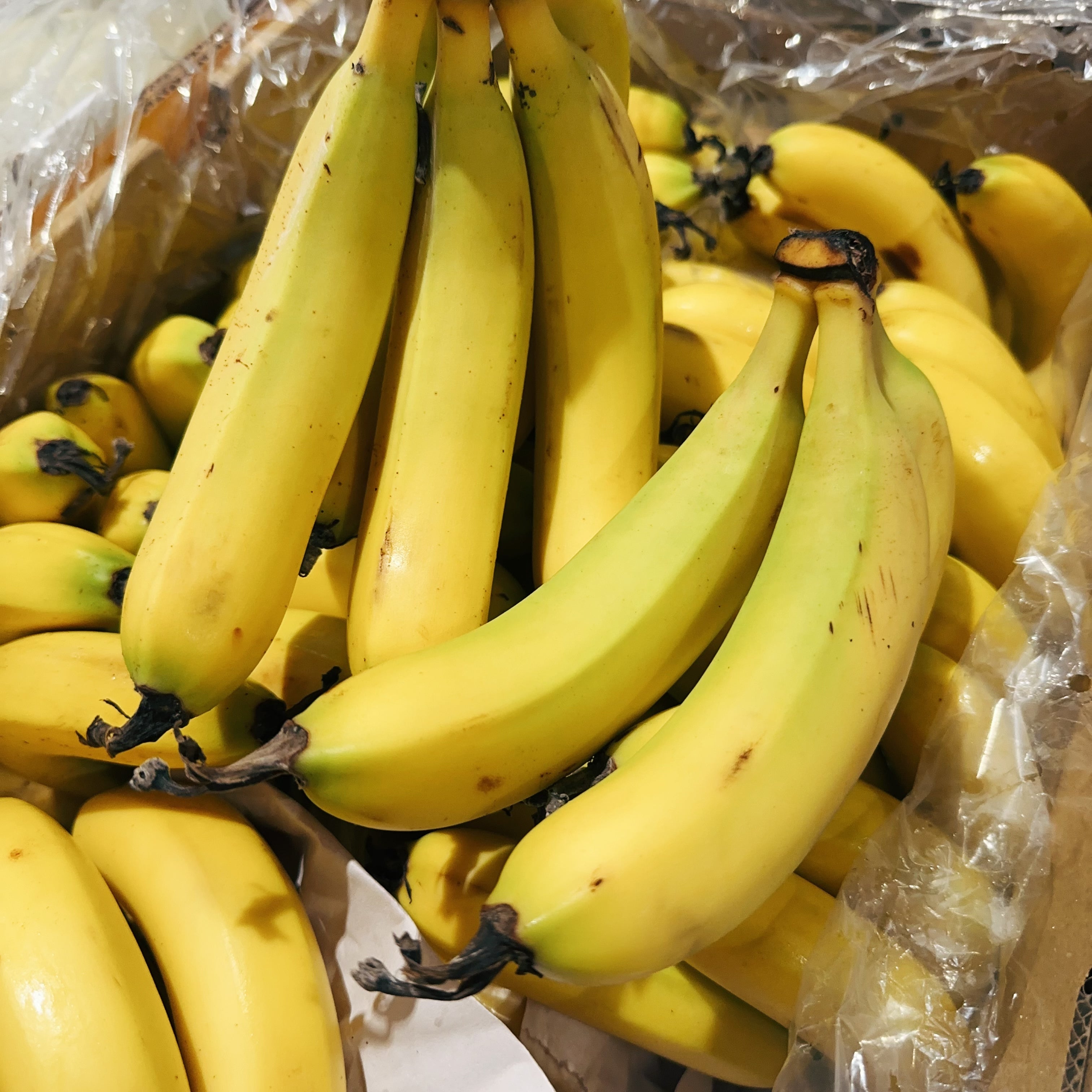 [Fresh]--Bananas-Approximately-1kg-1