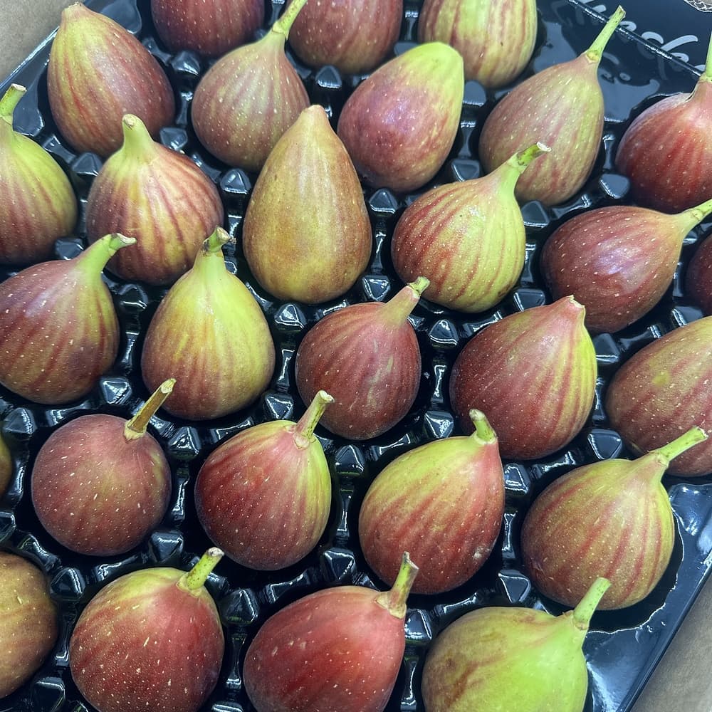 Box-of-Figs---Size-30-36-1