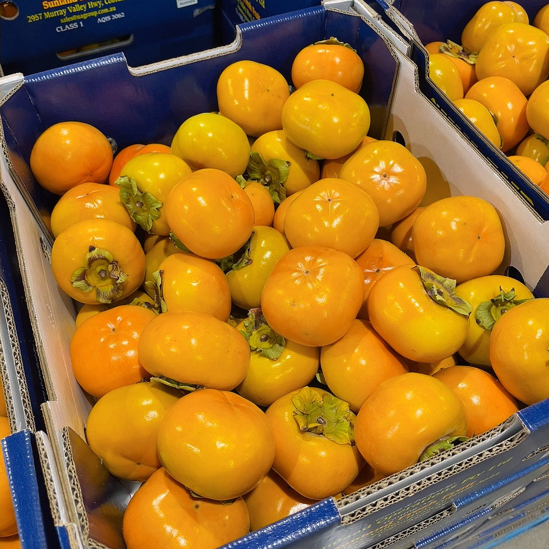 Small-Firm-Persimmons---Approx.-1kg -1