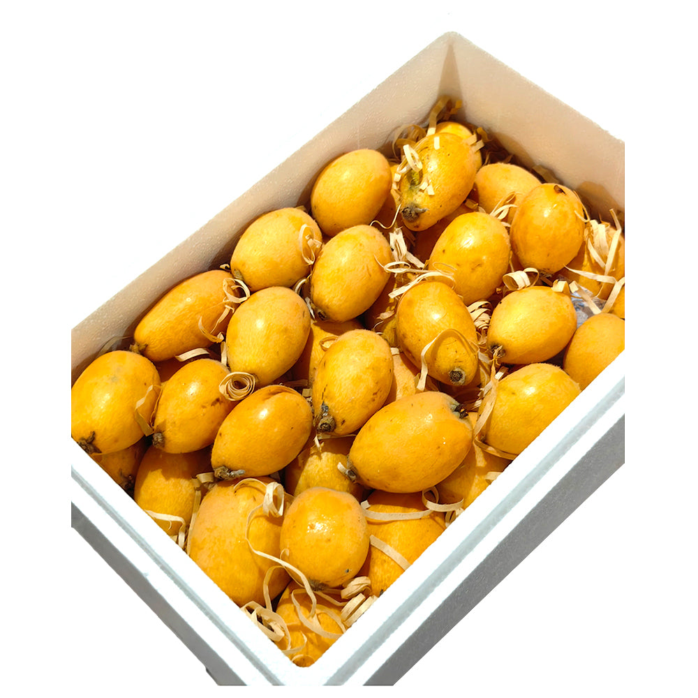 Tehillah-Orchard-Premium-Loquat-Gift-Box---2kg-1