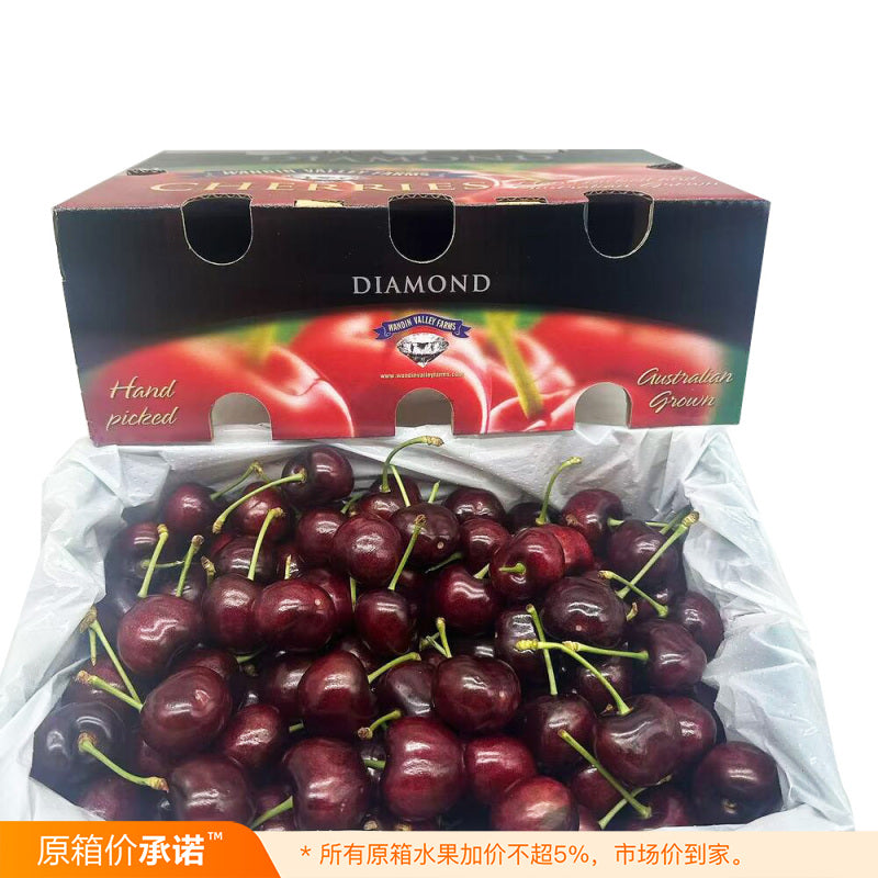 wvf-royal-tioga-cherries-32-34mm-approx-2kg-gift-box-1