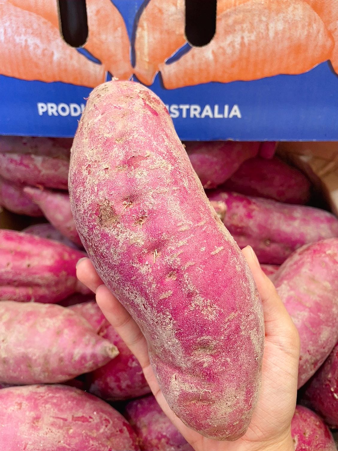 Australian-Purple-Sweet-Potatoes---1.1-1.2kg-1