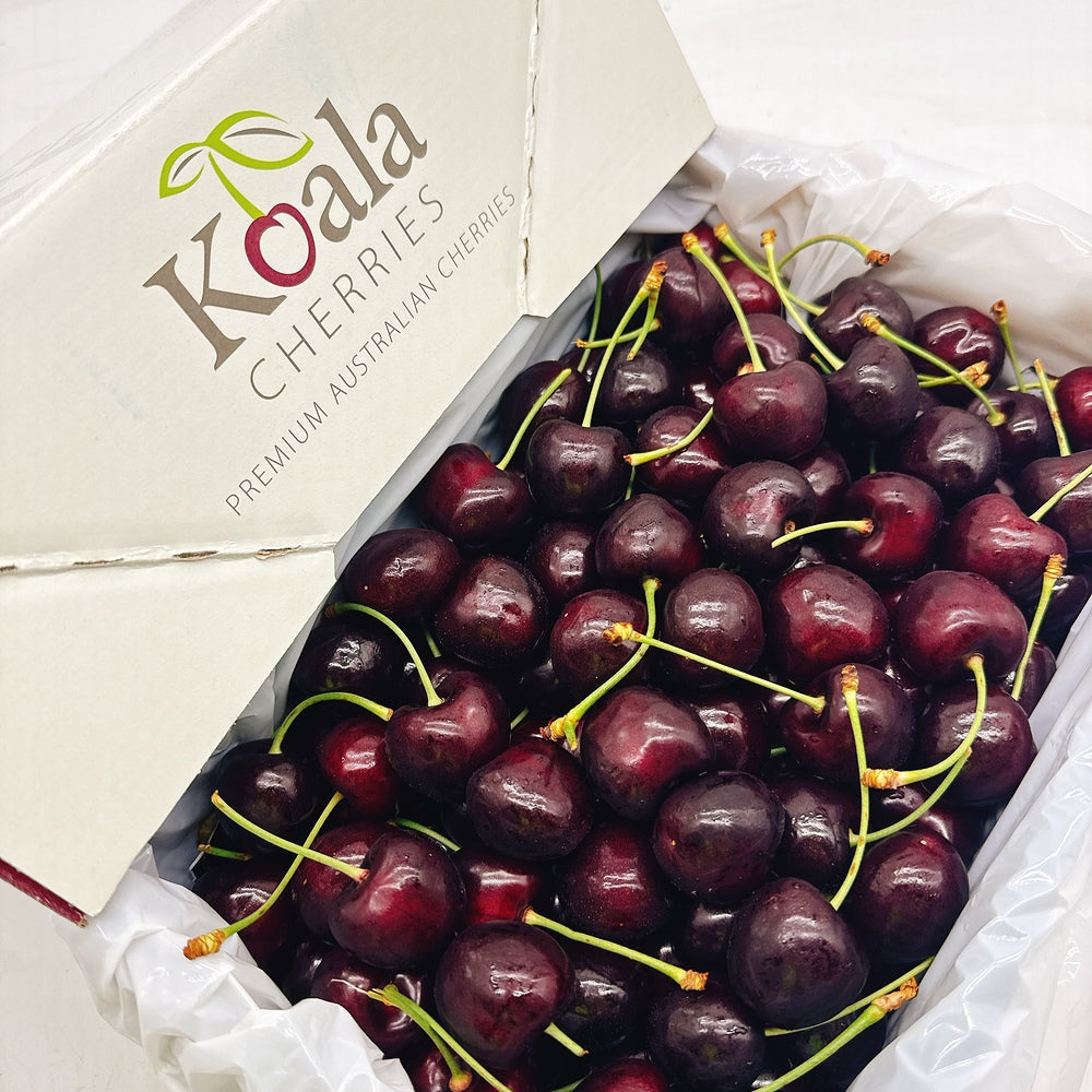 Koala-Regina-Cherries-Gift-Box-28-30mm---2kg-1