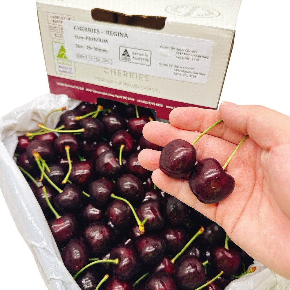 Koala-Regina-Cherries-Gift-Box-28-30mm---2kg-1