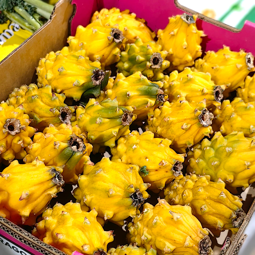 Yellow-Dragon-Fruit-(Pitaya)---Medium,-2-Pieces-1