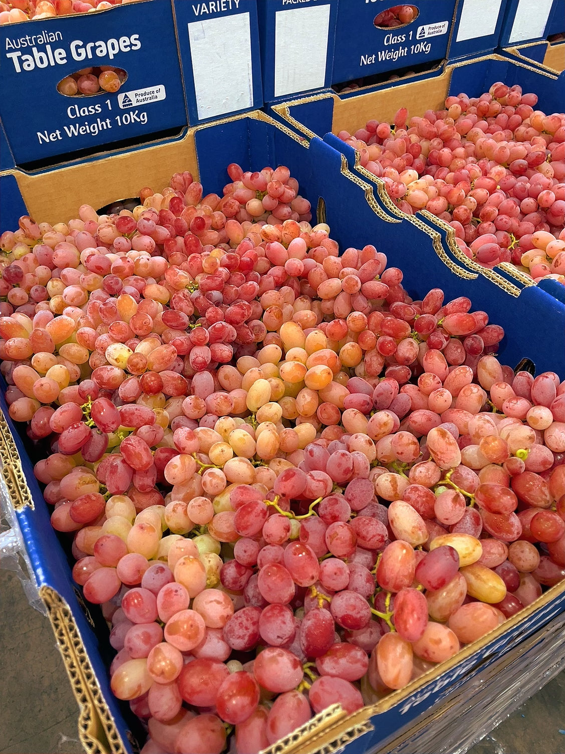 Crisp-Sweet-Red-Grapes---1kg -1