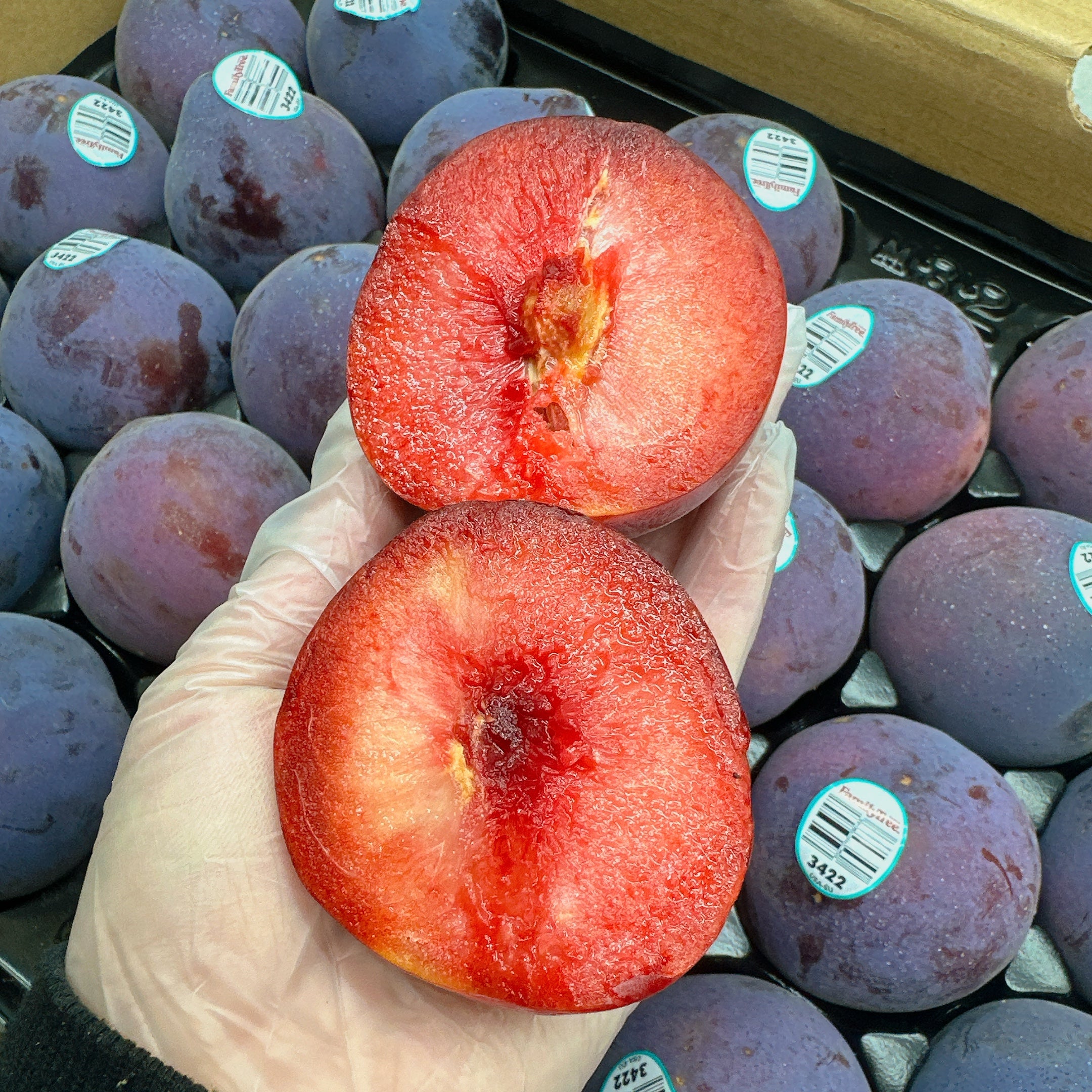 Midnight-Rose-Dinosaur-Egg-Pluots-–-4-Pieces-2