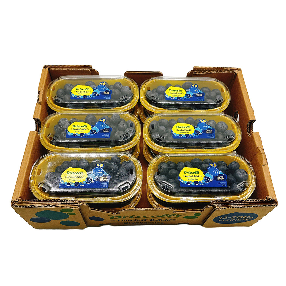 Driscoll's-Blueberries---Box-of-12-Packs-1