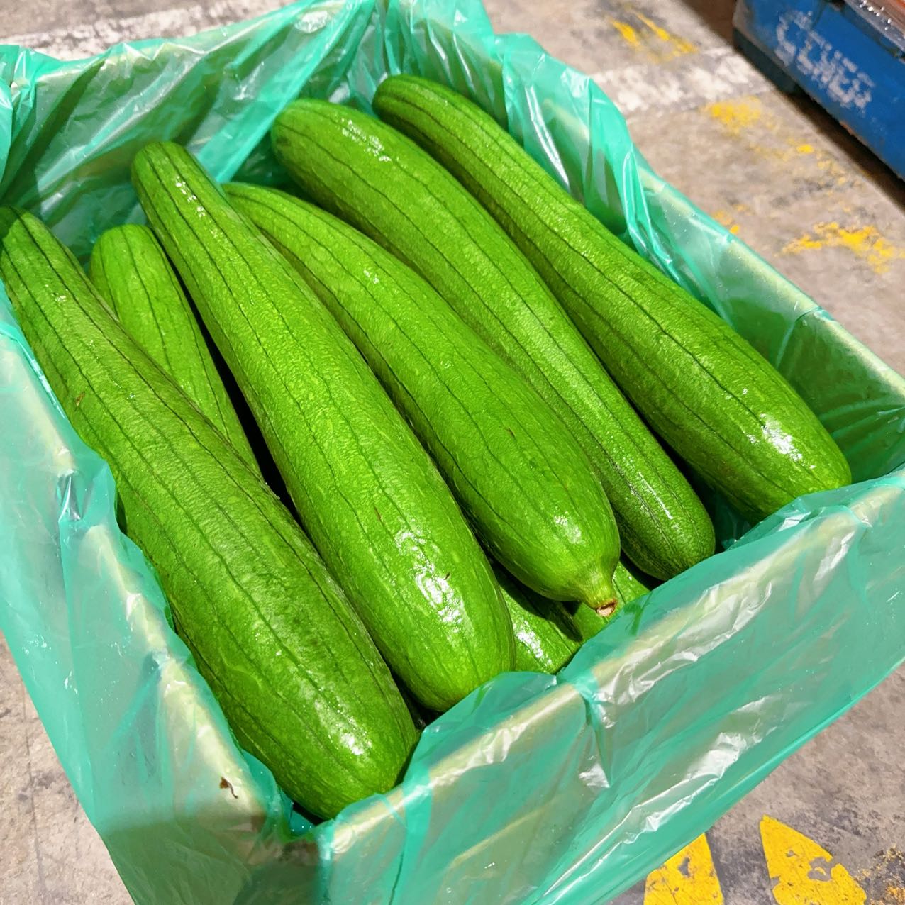 Premium-Fresh-Sponge-Gourd---1-Piece,-600-800g -1