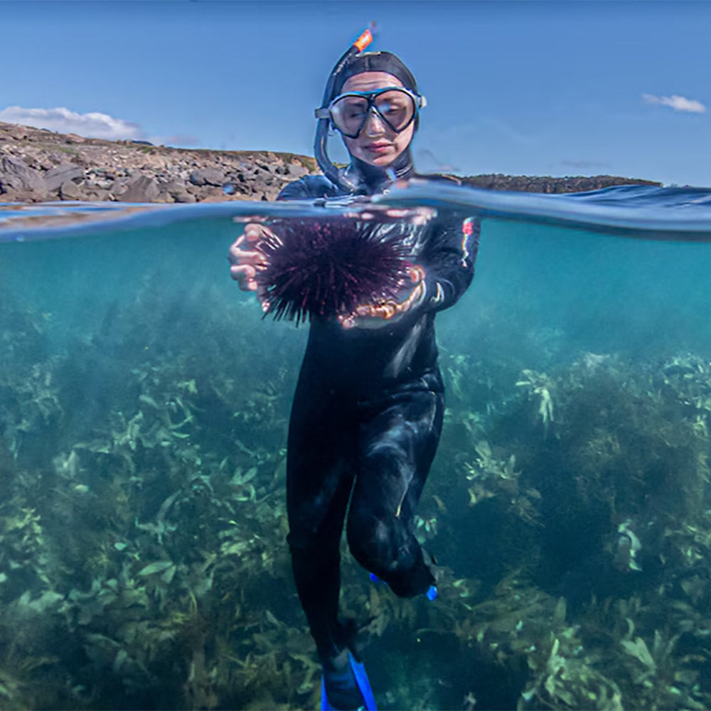 Limited-Edition-Tasmanian-Long-Spined-Sea-Urchin---100g-1