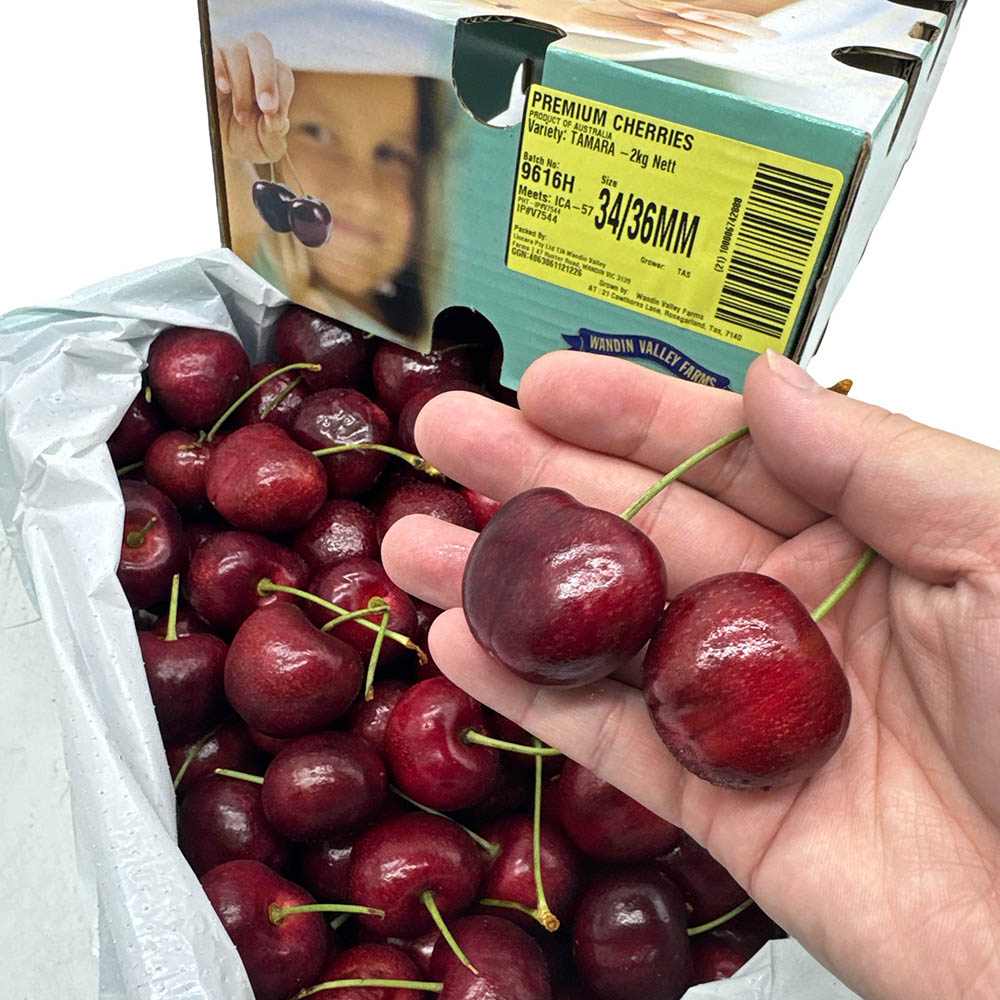 Tasmanian-WVF-Tamara-Cherries-34-36mm-Gift-Box-2kg-1