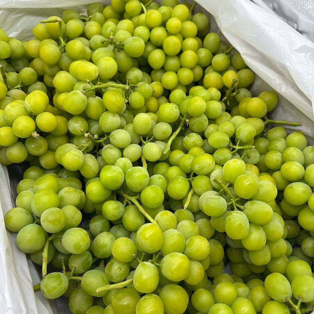 Japanese-Shine-Muscat-Grapes---Australian-Grown,-1kg-1