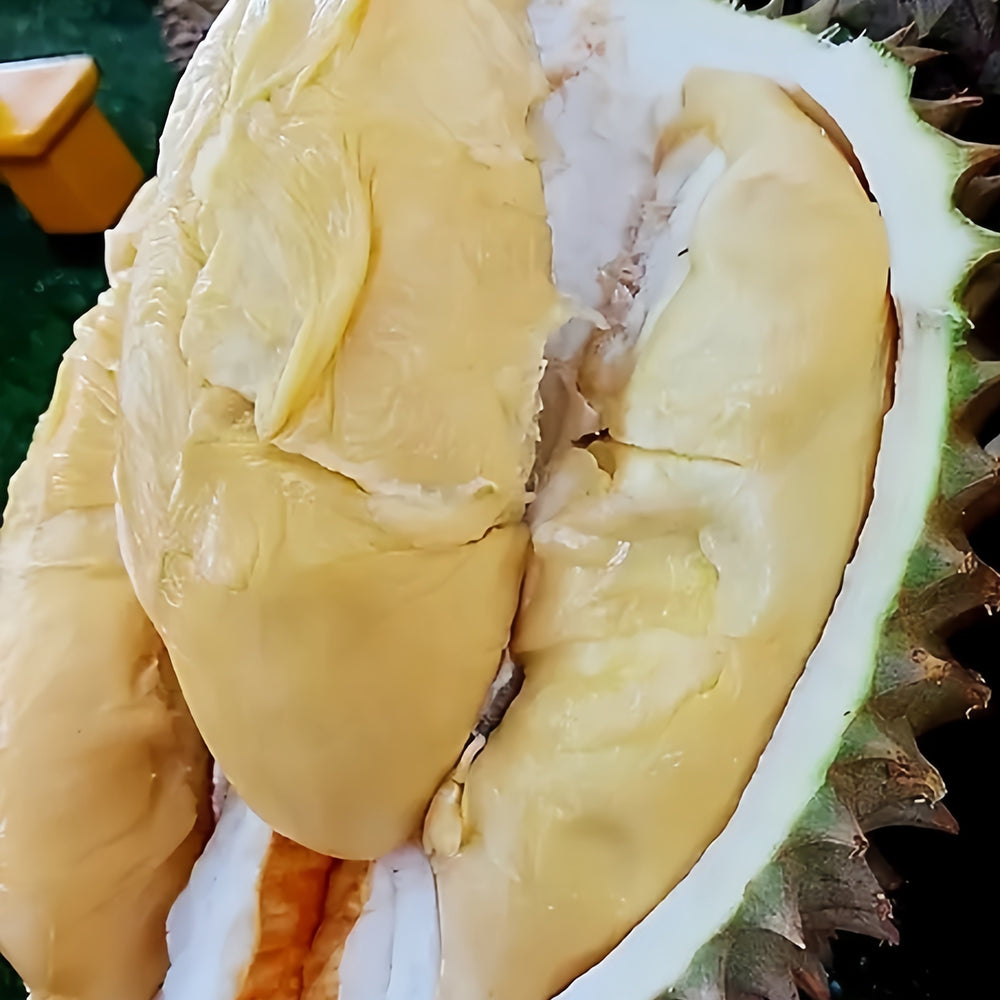 Dking-Tekka-Frozen-Durian-Pulp---400g-1