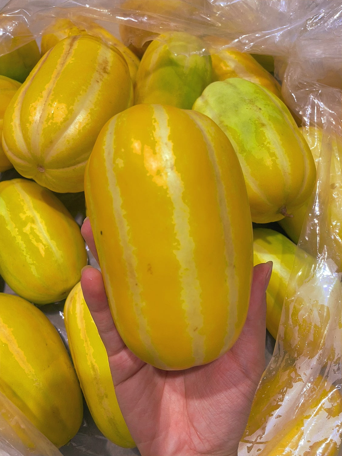 Northeast-Melon---1-Piece,-300-400g -1