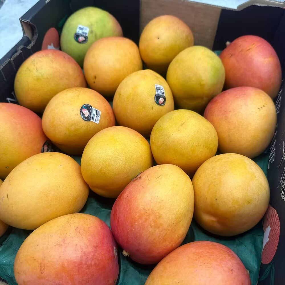 lady-jane-australian-mango-1-piece-2