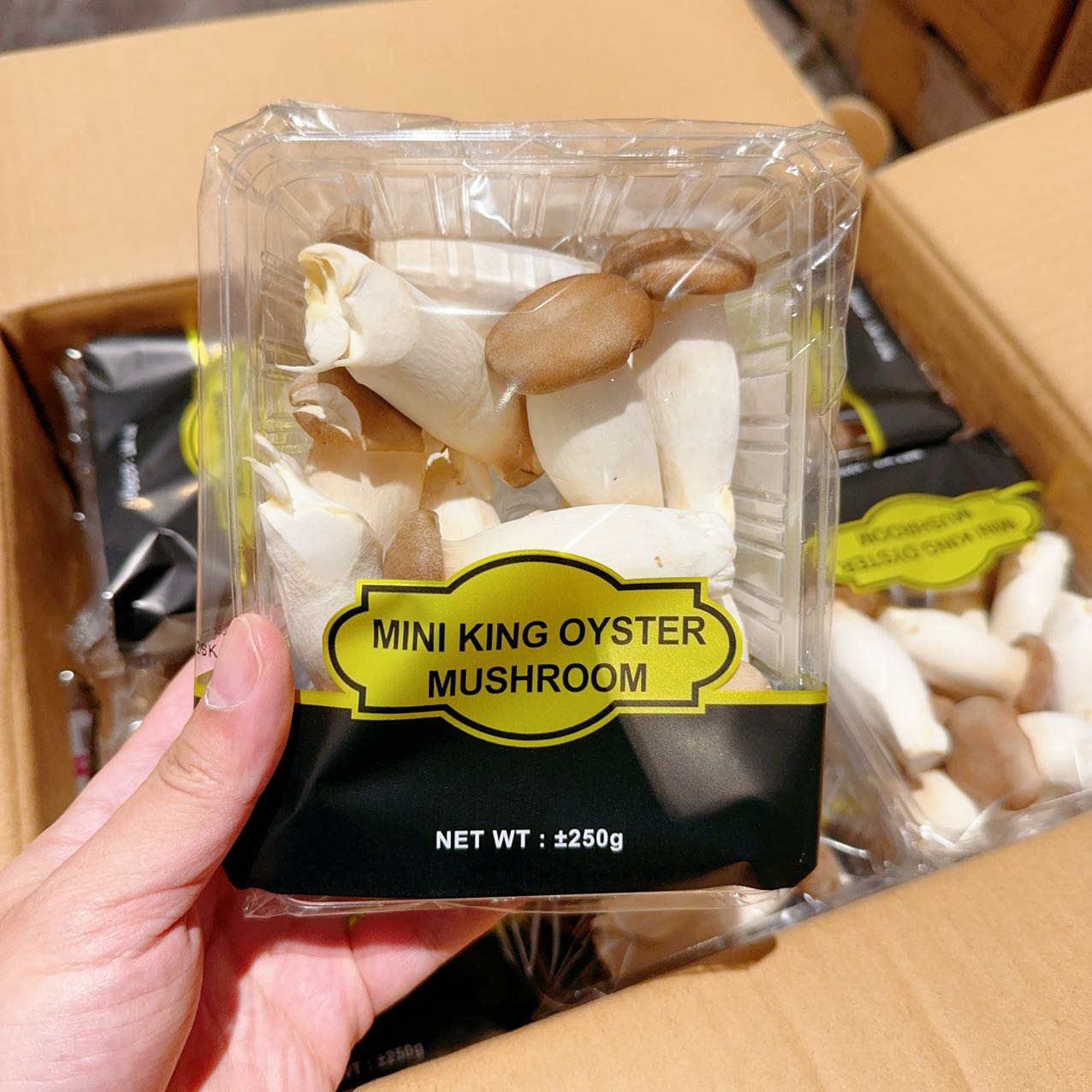 Chois-Mini-King-Oyster-Mushrooms---250g -1