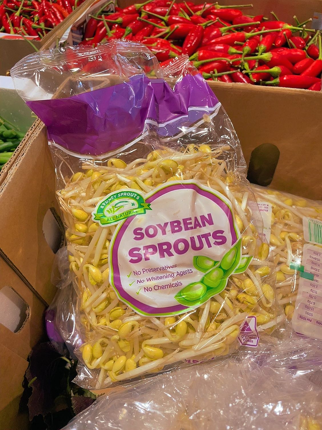 [Fresh]-Yellow-Soybean-Sprouts-Approximately-450g-1